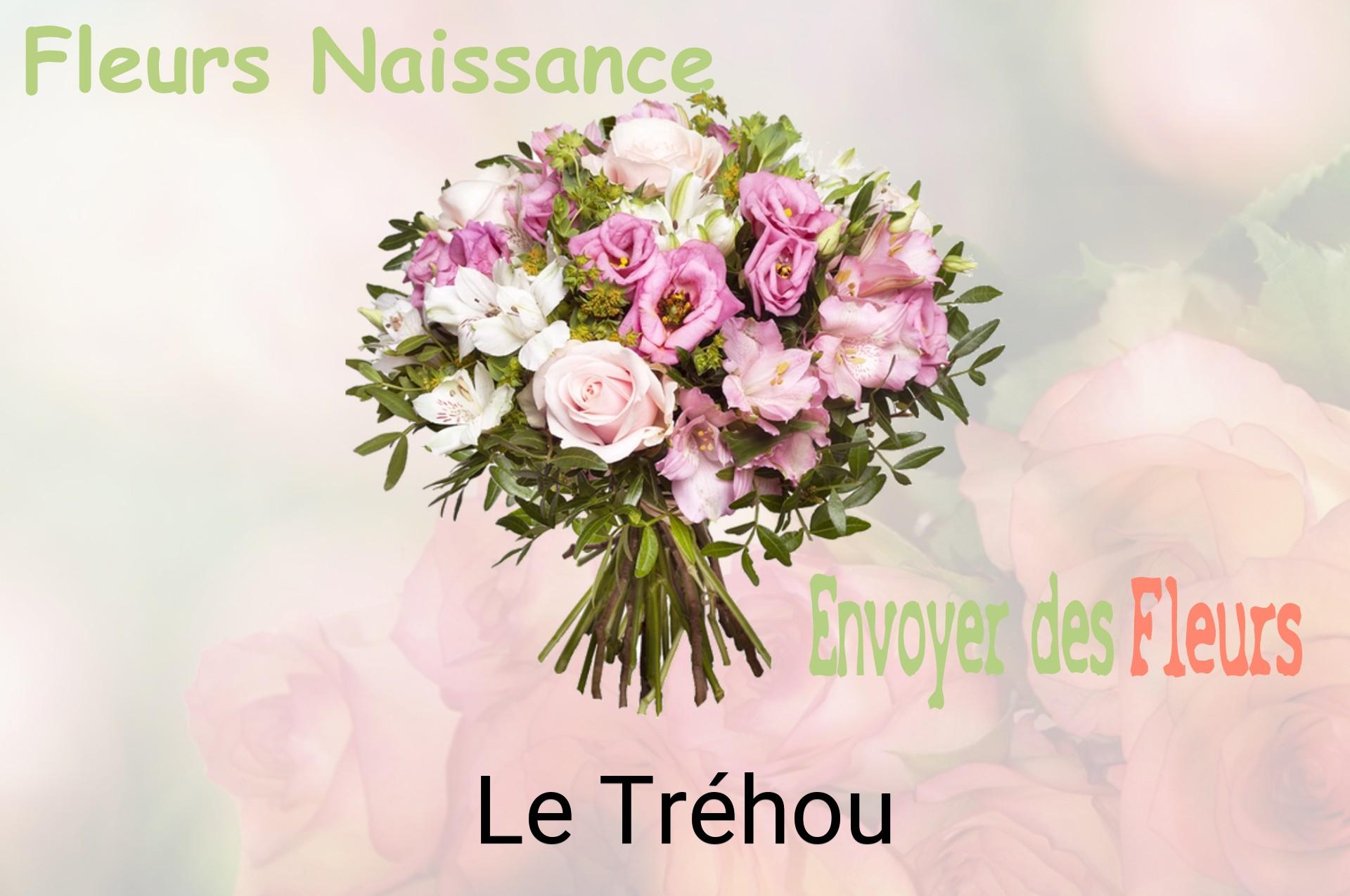 Bouquet de fleurs de naissance livré à Le Tréhou