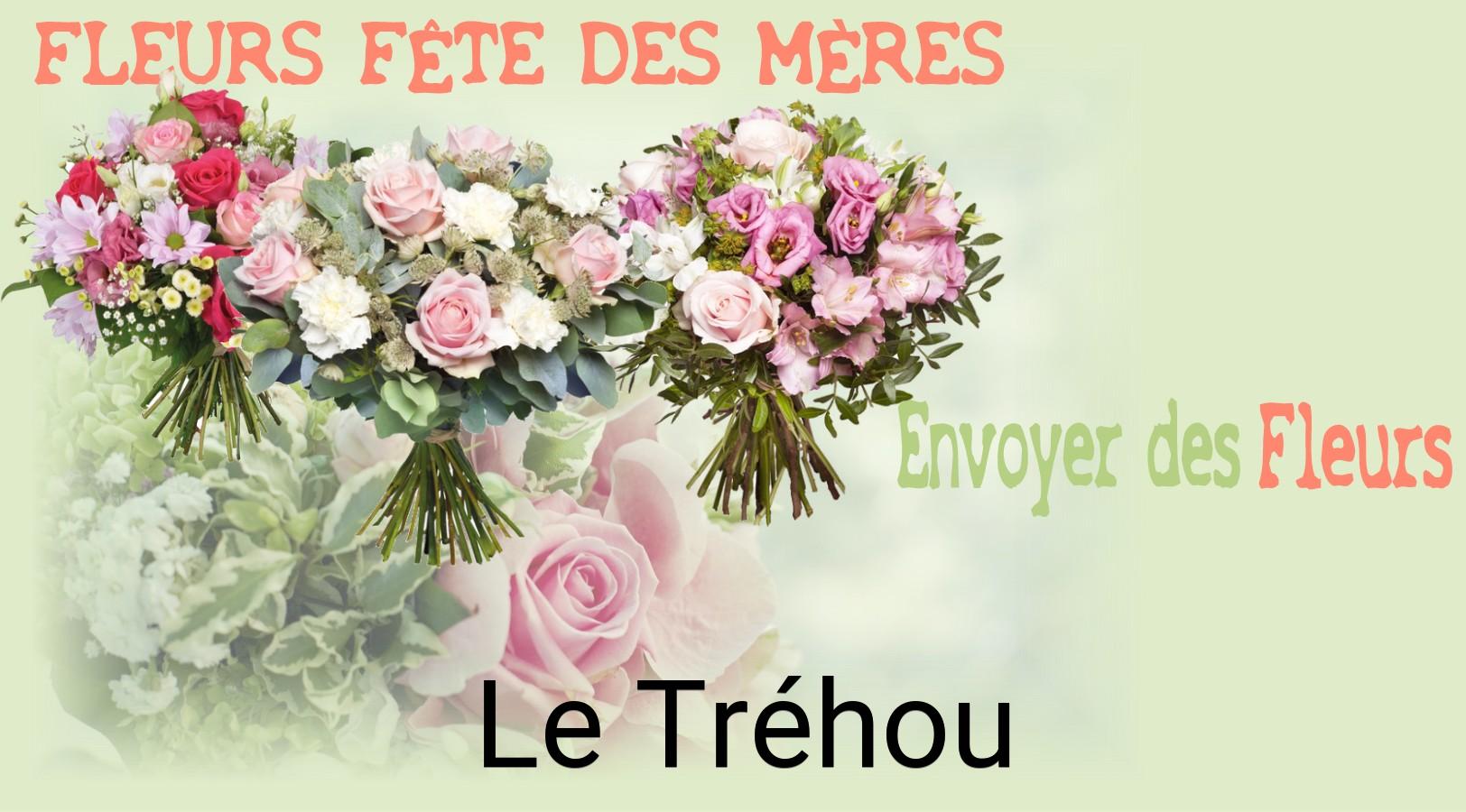 Bouquet de Fête des Mères livré à Le Tréhou